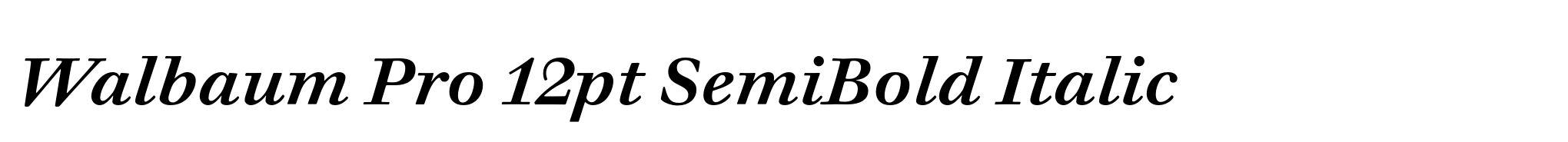 Walbaum Pro 12pt SemiBold Italic image